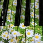 Musik im Sommer - Klassikhighlights