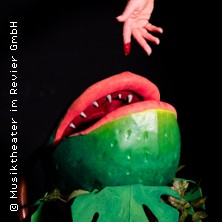 Der kleine Horrorladen